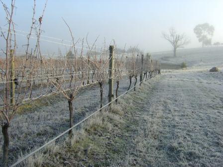 Winter on Two Hills 2