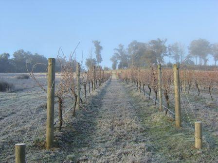 Winter on Two Hills 3