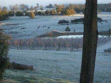 Winter on Two Hills 1