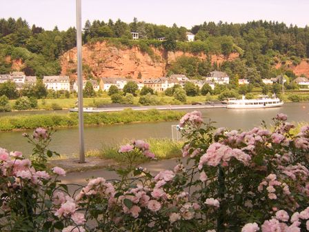 Mosel river in Trier