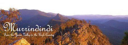 Murrindindi