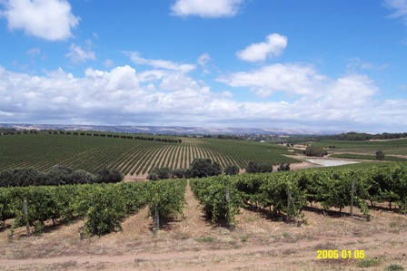 McLaren Vale 2