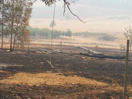 14-feb-two-hills-017 14-feb-two-hills-017