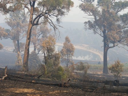 14-feb-two-hills-020 14-feb-two-hills-020