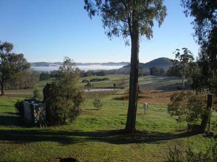 THVwinter0901 THVwinter0901