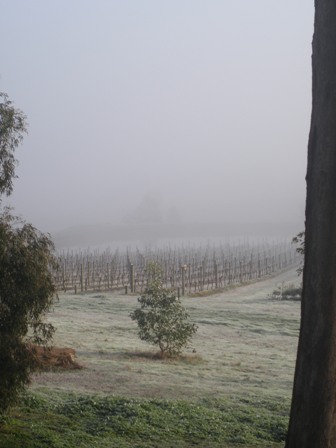 THVwinter0902 THVwinter0902