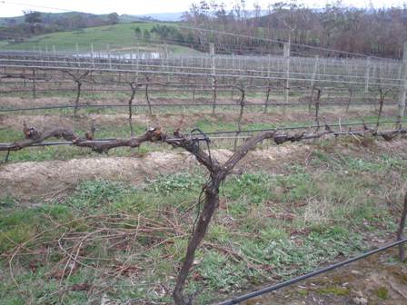 THVwinter0903 THVwinter0903