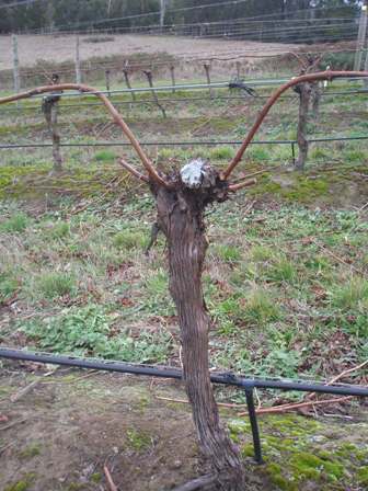 THVwinter0904 THVwinter0904